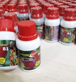 Vitamin B1 Tanaman
